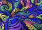 La tela bidireccional Fluo de neón brillante del punto del traje de baño del estiramiento colorea Digitaces impresas